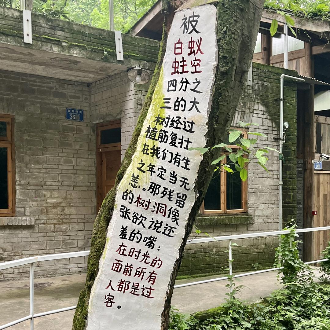 Hey,牛牛🐮🦋