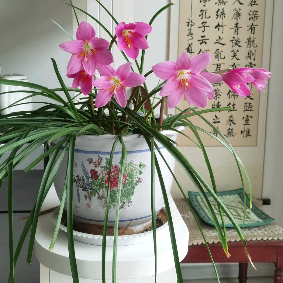 用户5737218983952