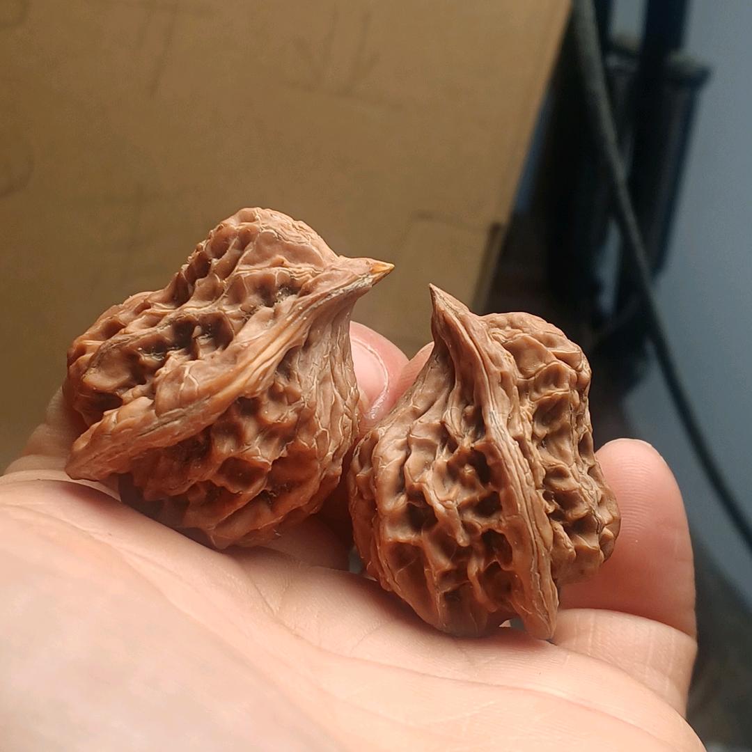爱玩文玩核桃