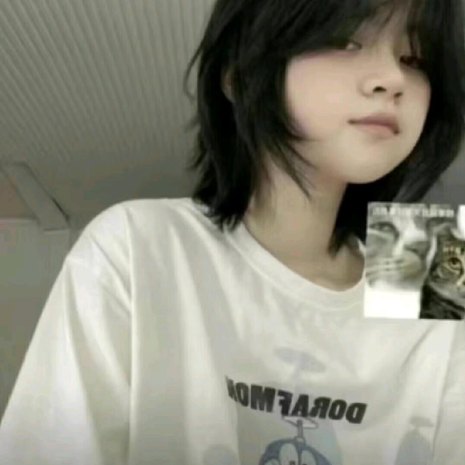 桉.