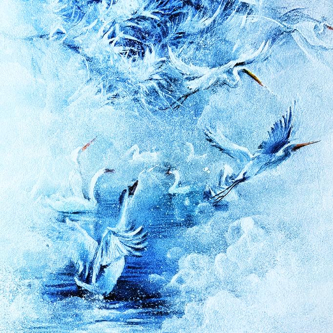 鲸鱼