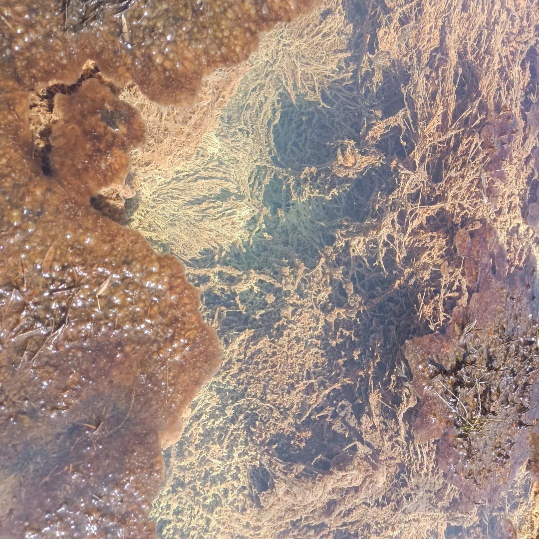 朱勋横