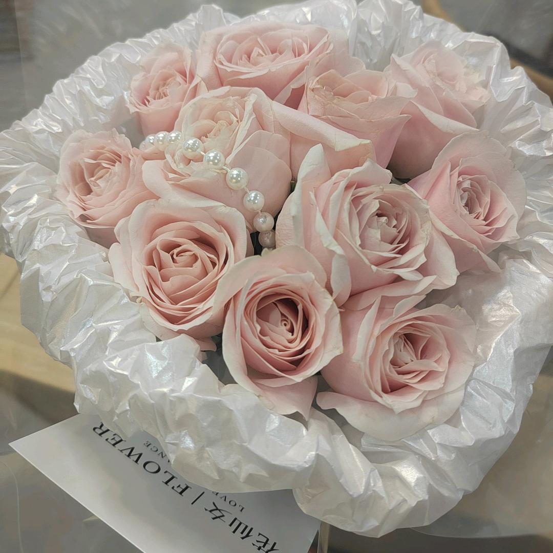 ❣️向往自由❣️