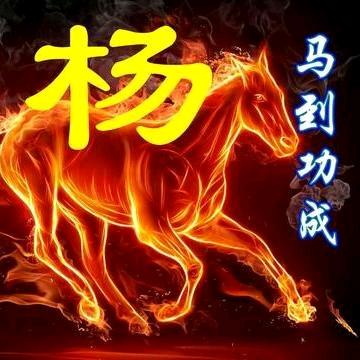 单身情锅
