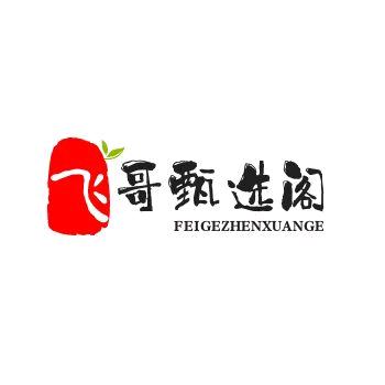 飞哥甄选阁