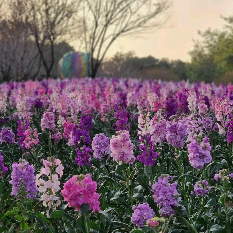 我是西安家政高老师