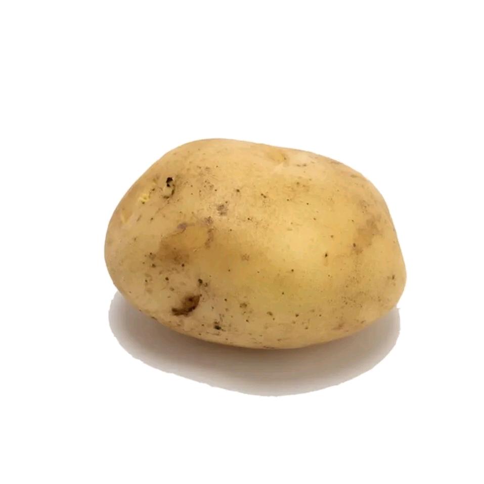 Potato