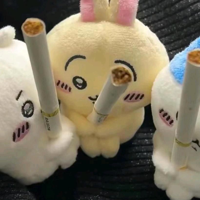 诸葛日系八嘎酱