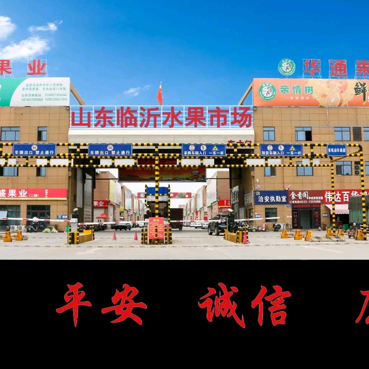 代卖各种水果找个老伴