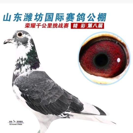 学无止境，诚信赢天下