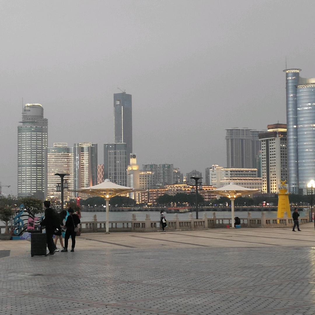 我是小小鸟