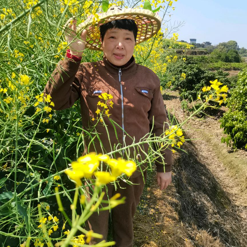 快乐大姐
