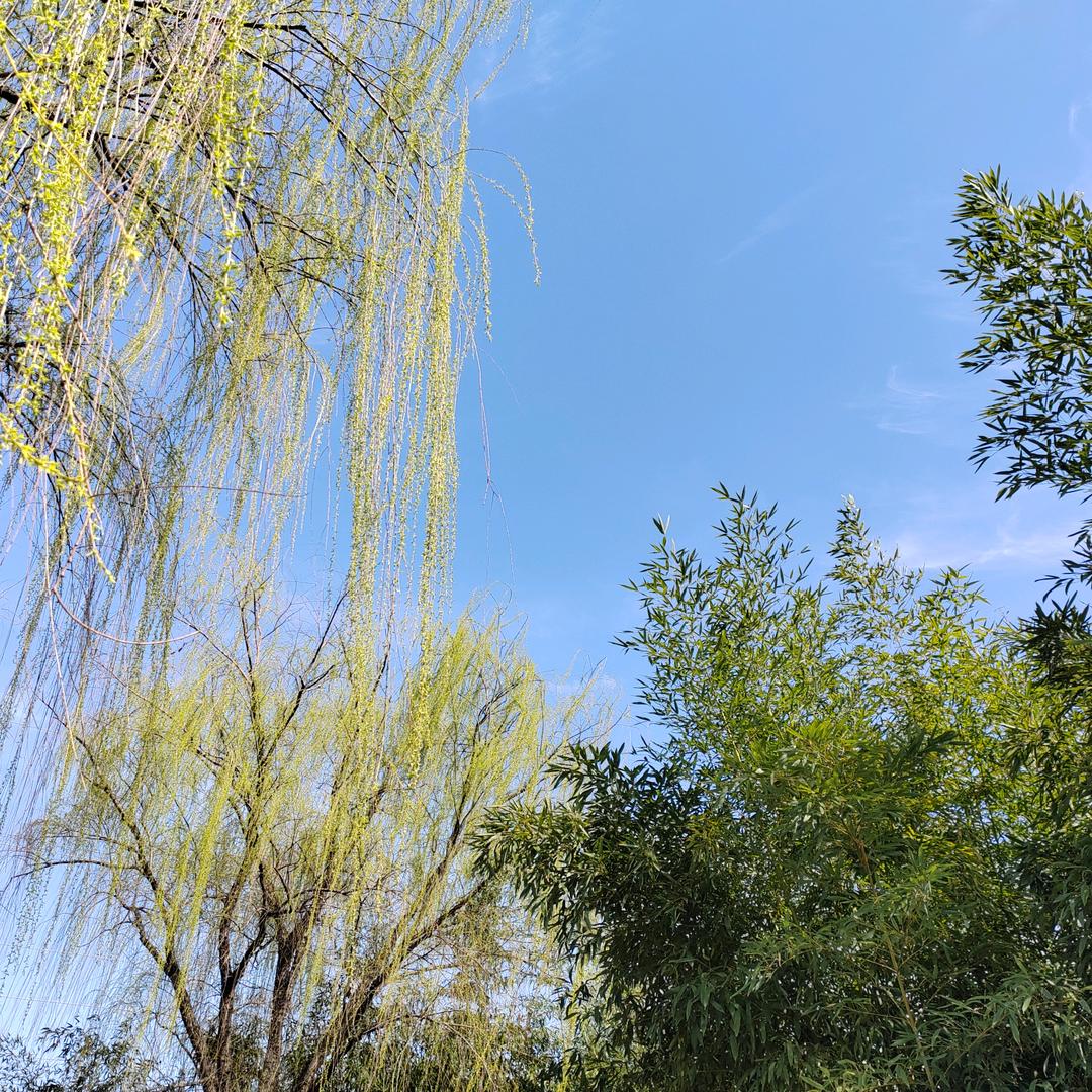 A清风徐来，