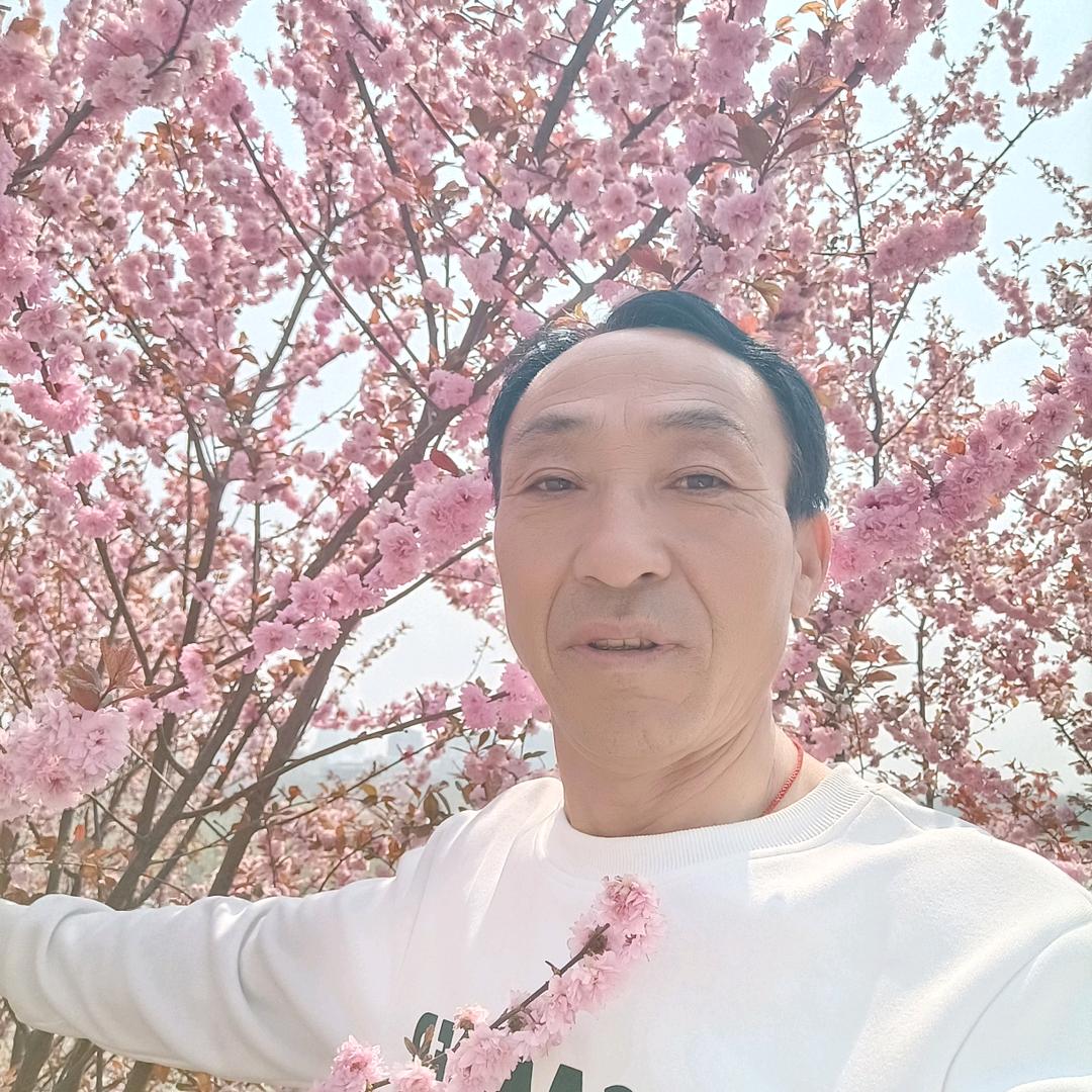 蛟🐉出海《梦中缘》