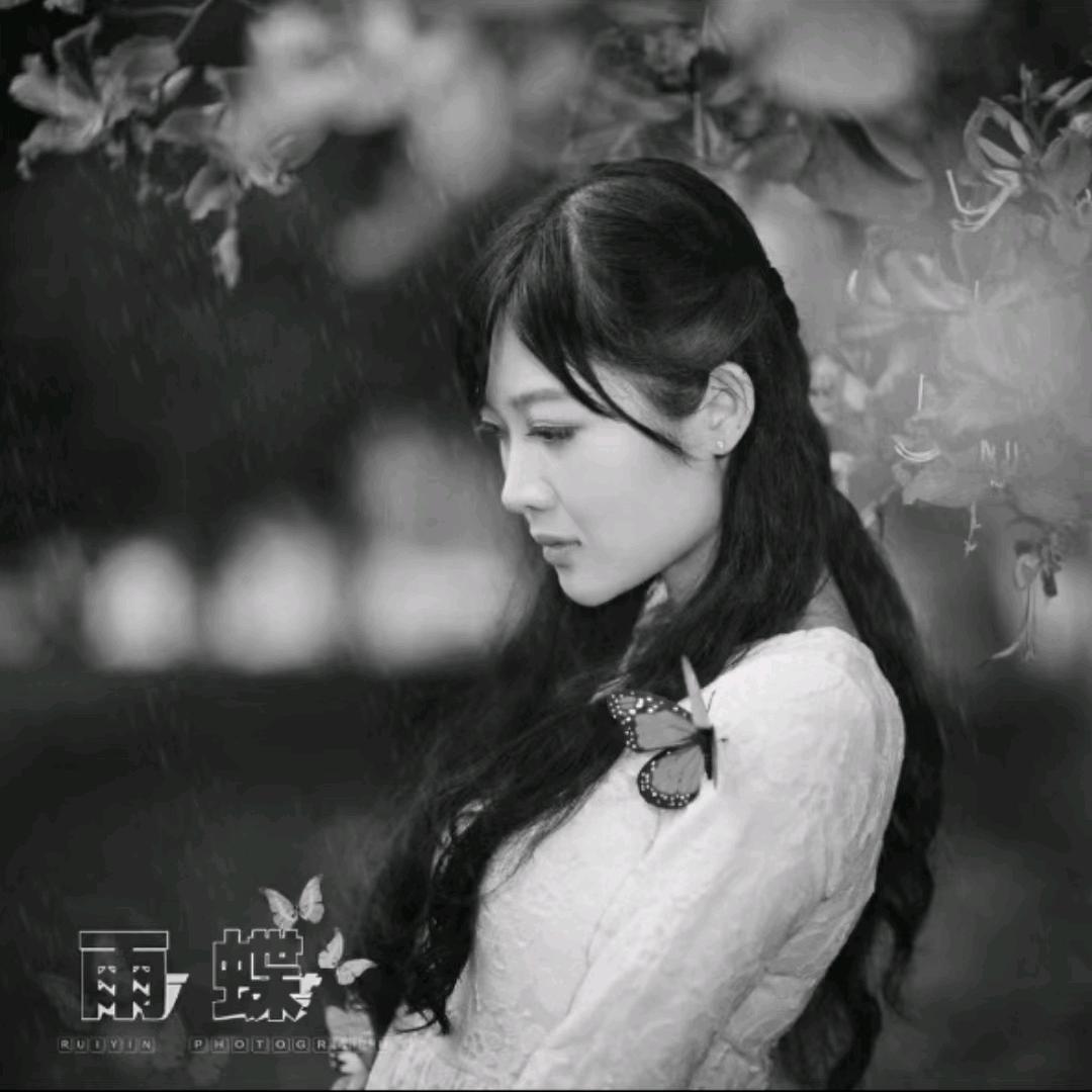 雨蝶