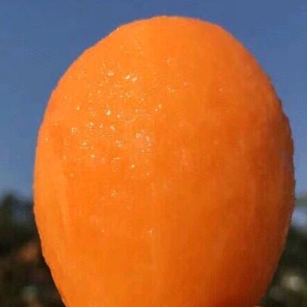 嘿！果子