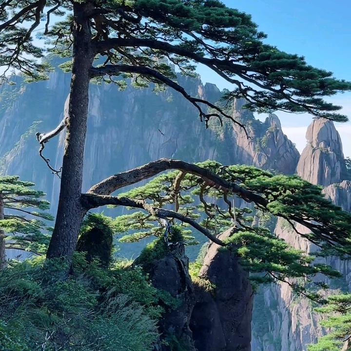 李德清