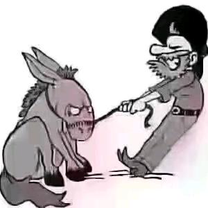 梦想航行的妹子