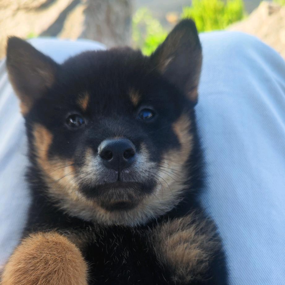 一抹中国红🇨🇳