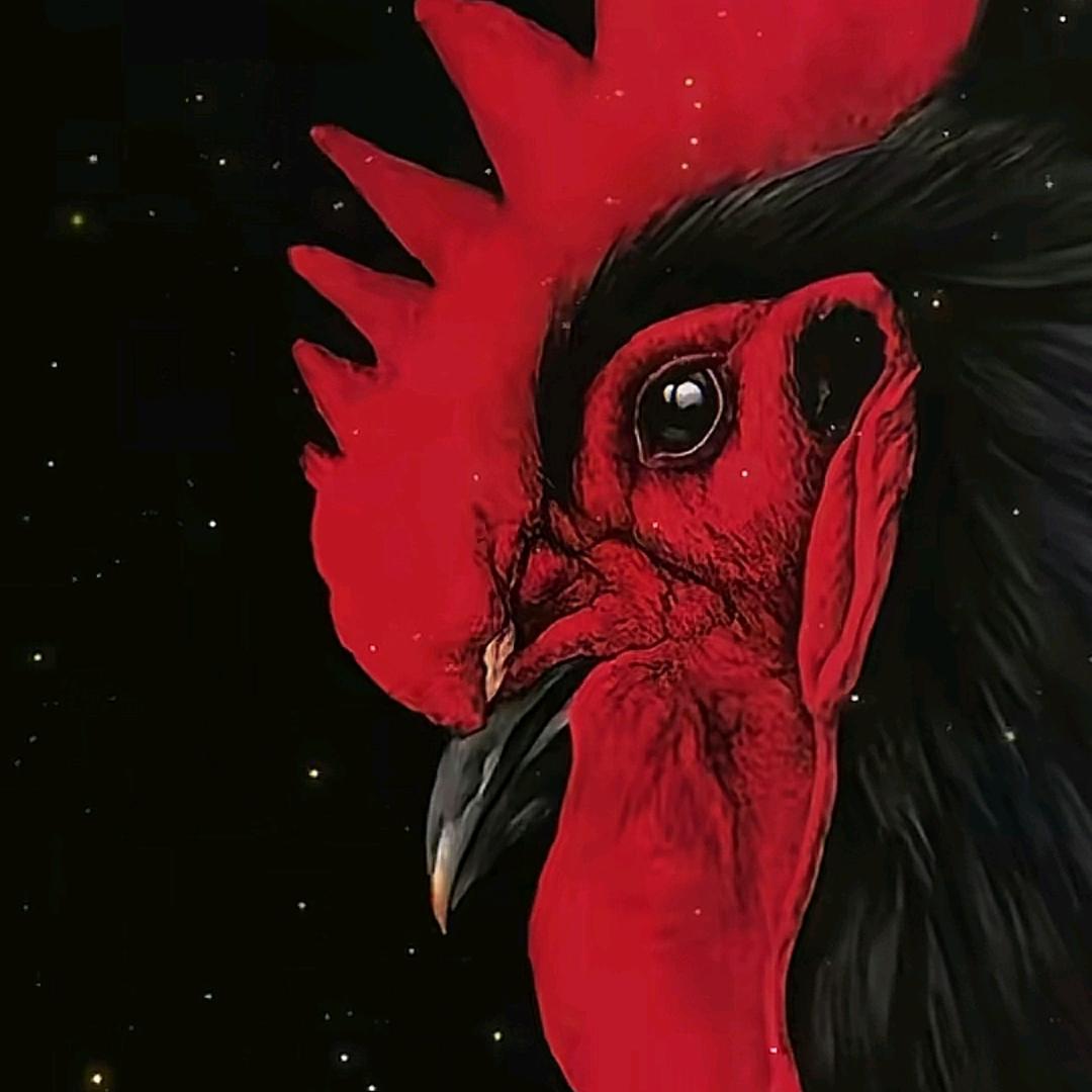 ——