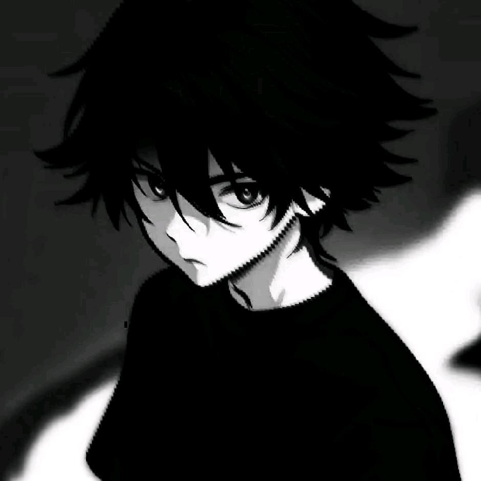 泊