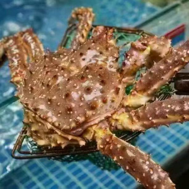 🦀🦐长沙卖海鲜的大哥