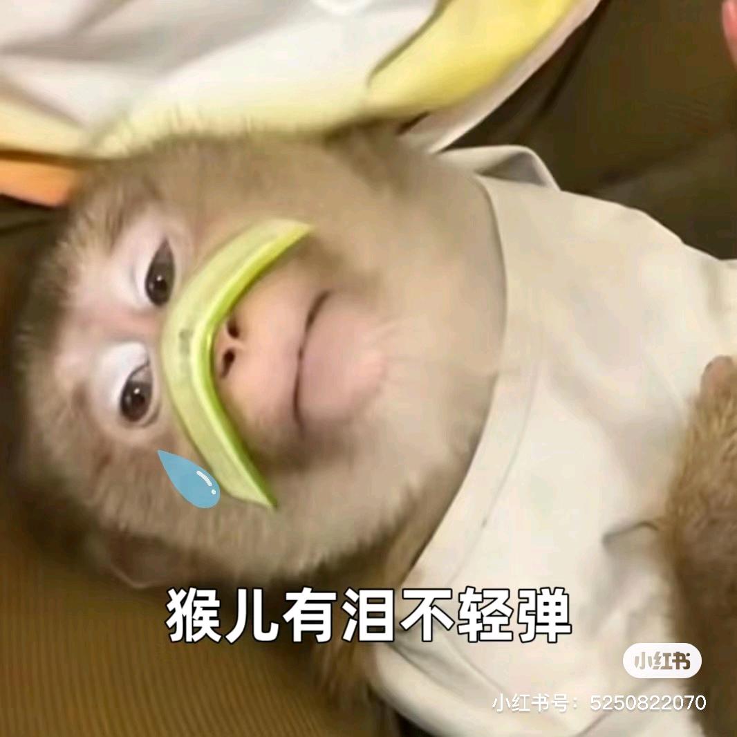 沙漠公主