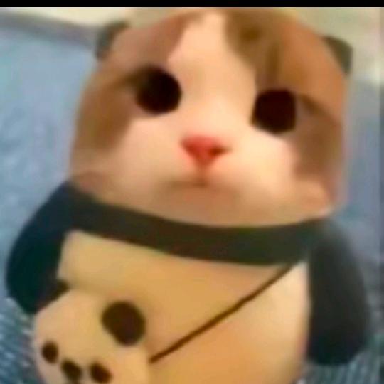 西瓜西瓜