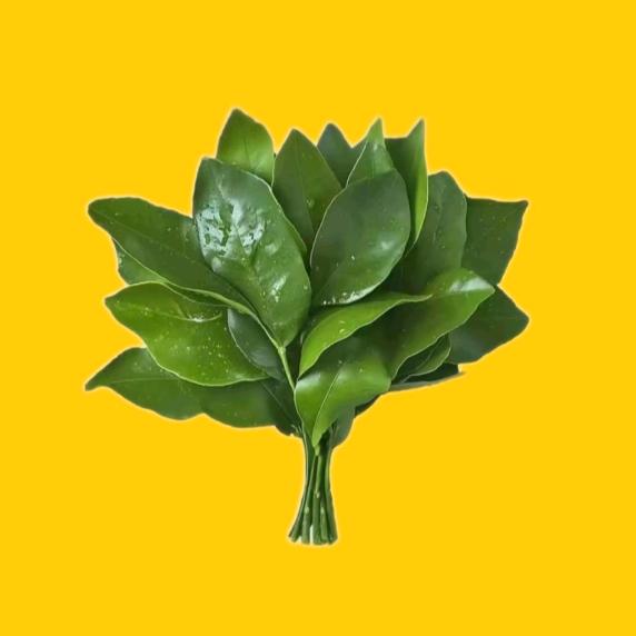 ✨略略略✨