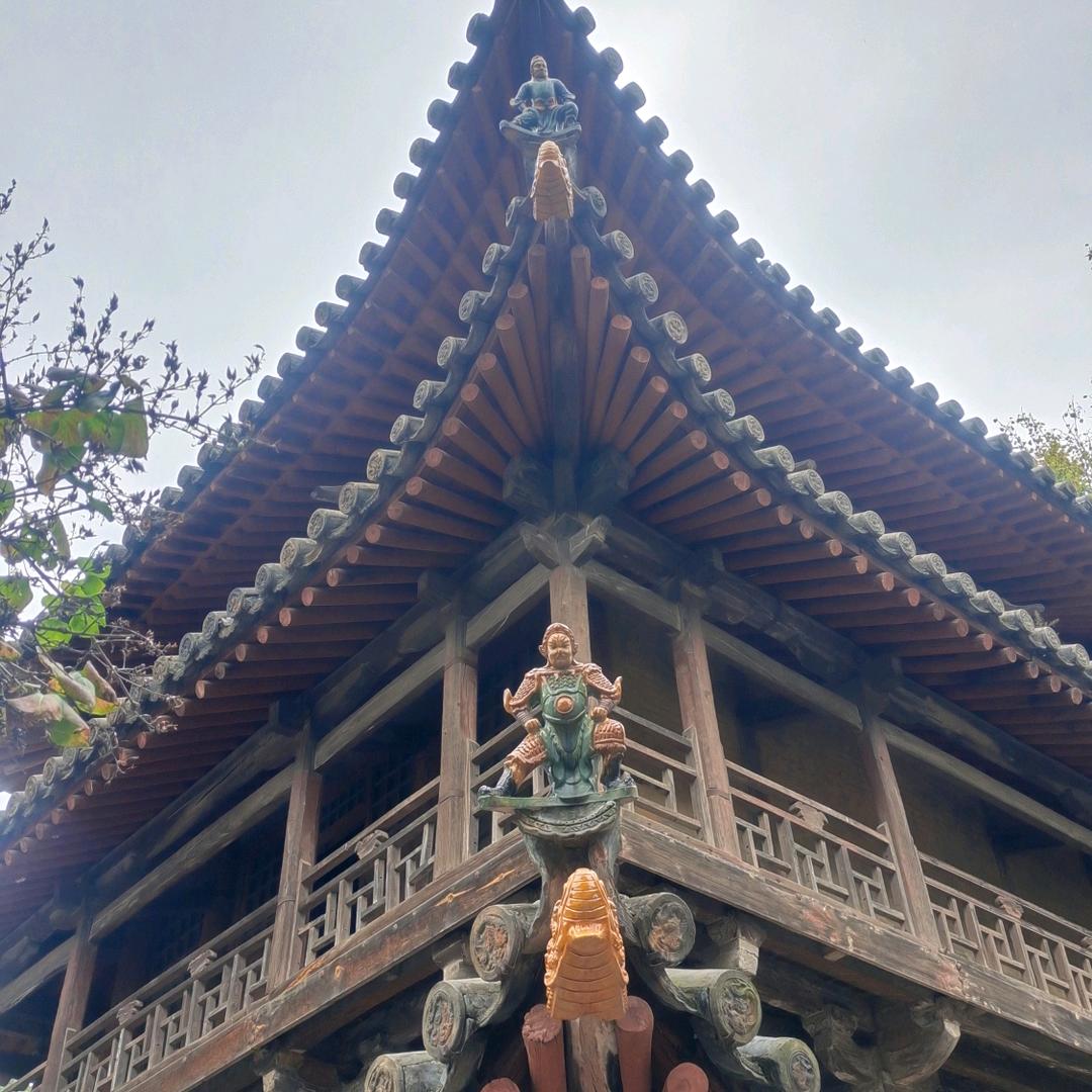 越上枝头
