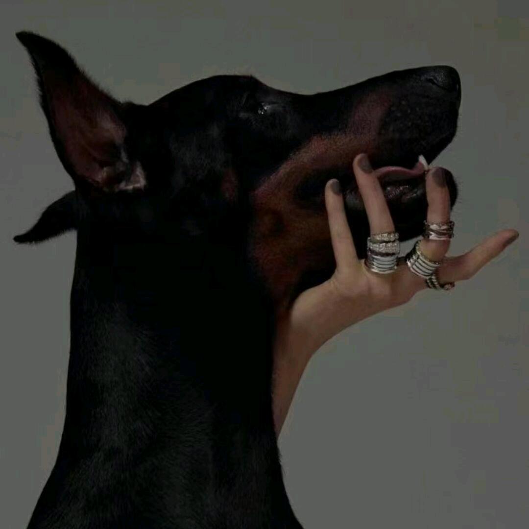 ੯‧̀͡⬮醉殇੯‧̀͡⬮