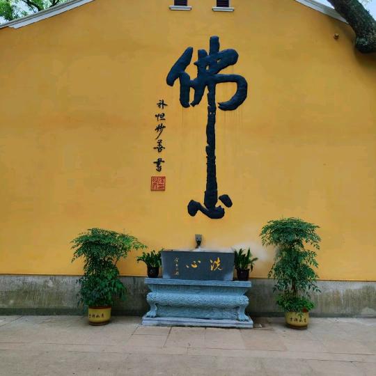项城市齐氏电动车门市部