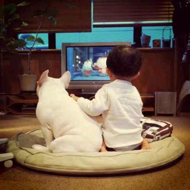 𝑨𝒔𝒔𝒖𝒎𝒆.