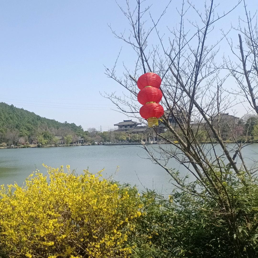 吉星高赵