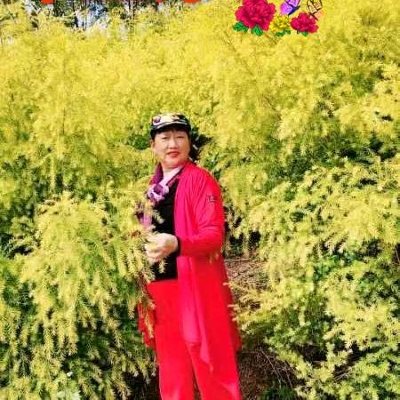 快乐人生