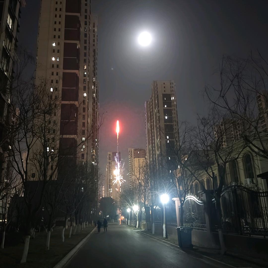 宠物健康生活