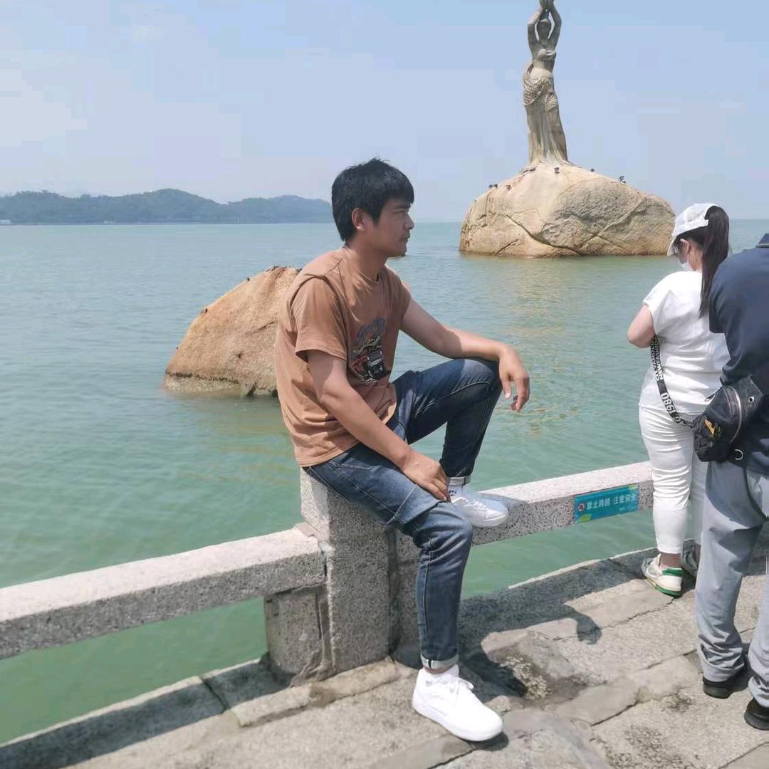 鸿鹄之志