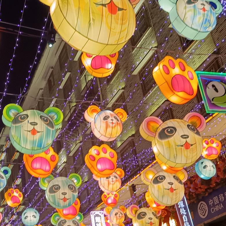 风雨向阳