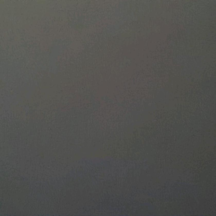 毒鸡汤