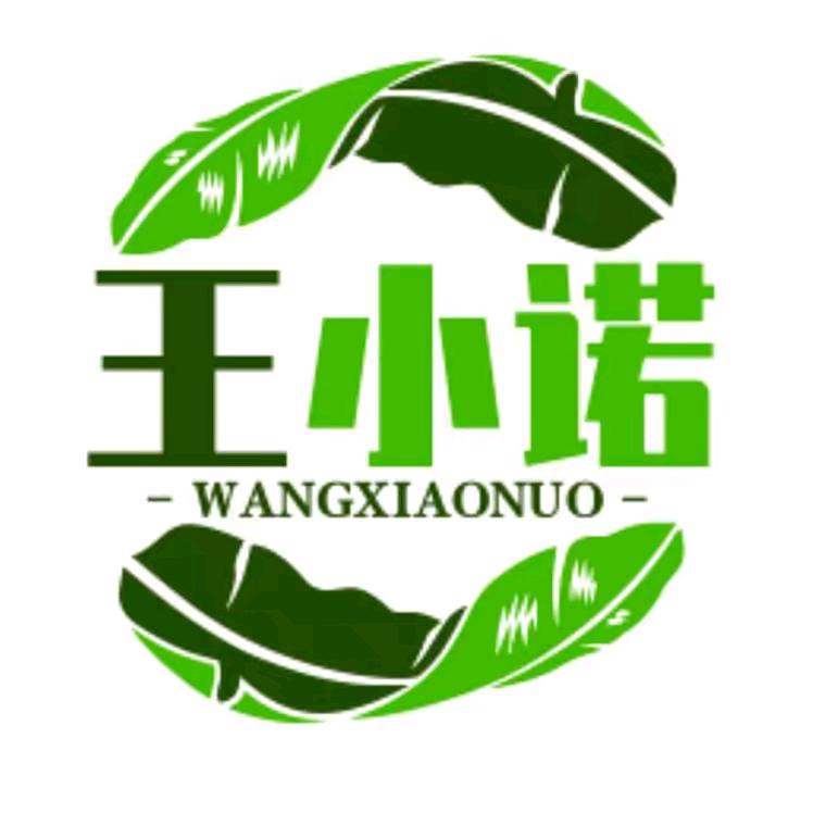 王小诺