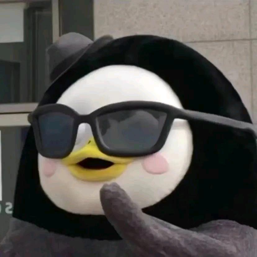 企🐧