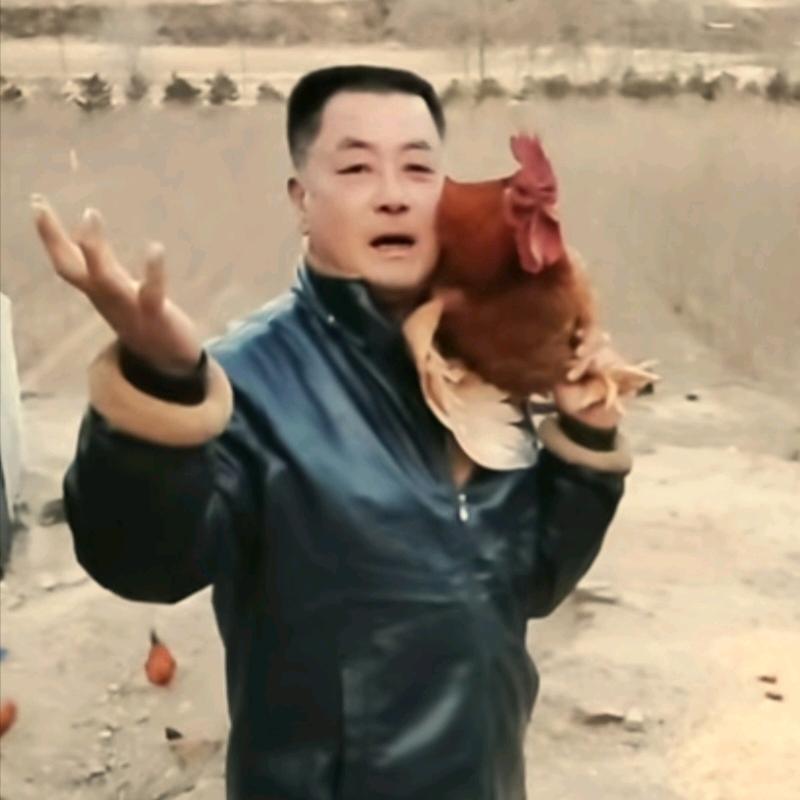 大寨主
