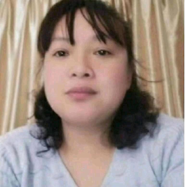 满天飞的娥
