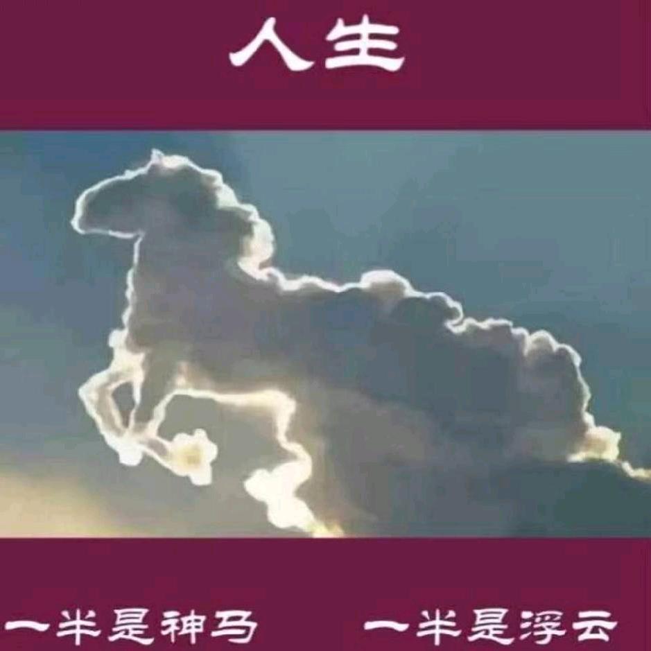 不见不散