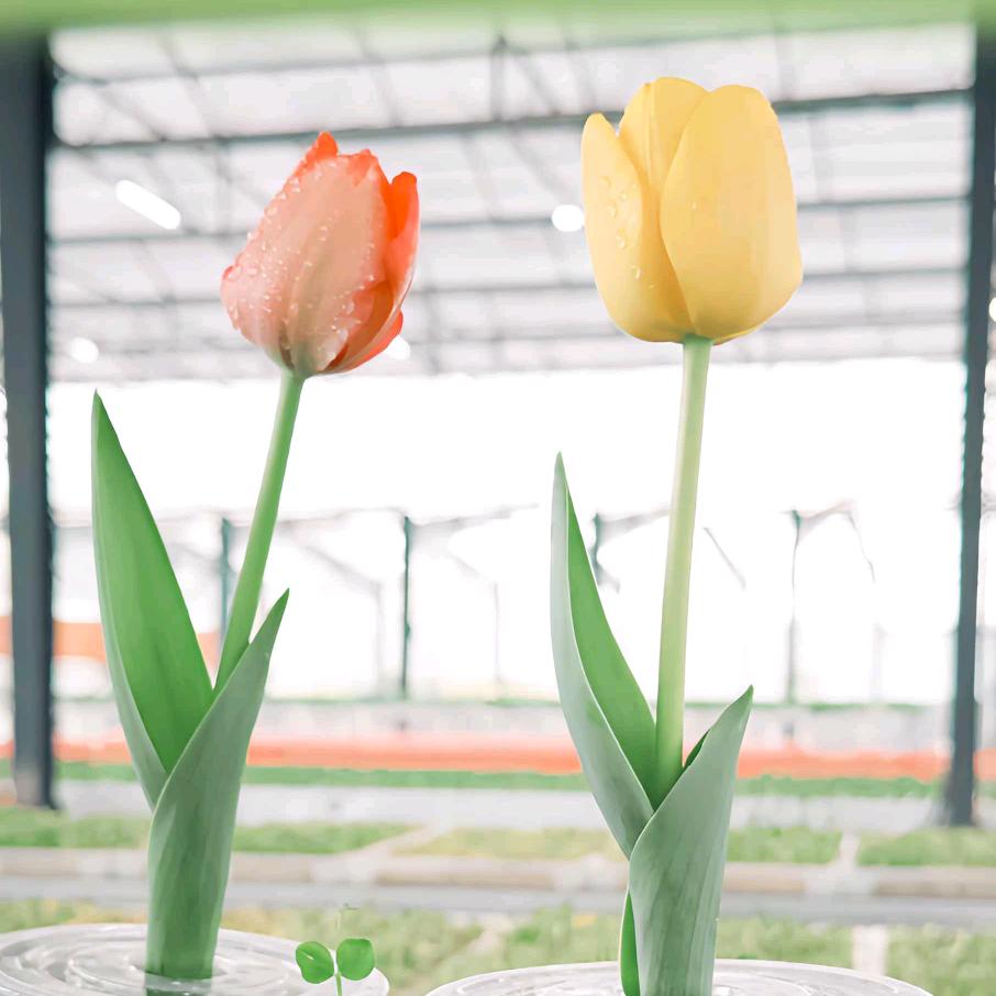 你好，小陈同学🍭