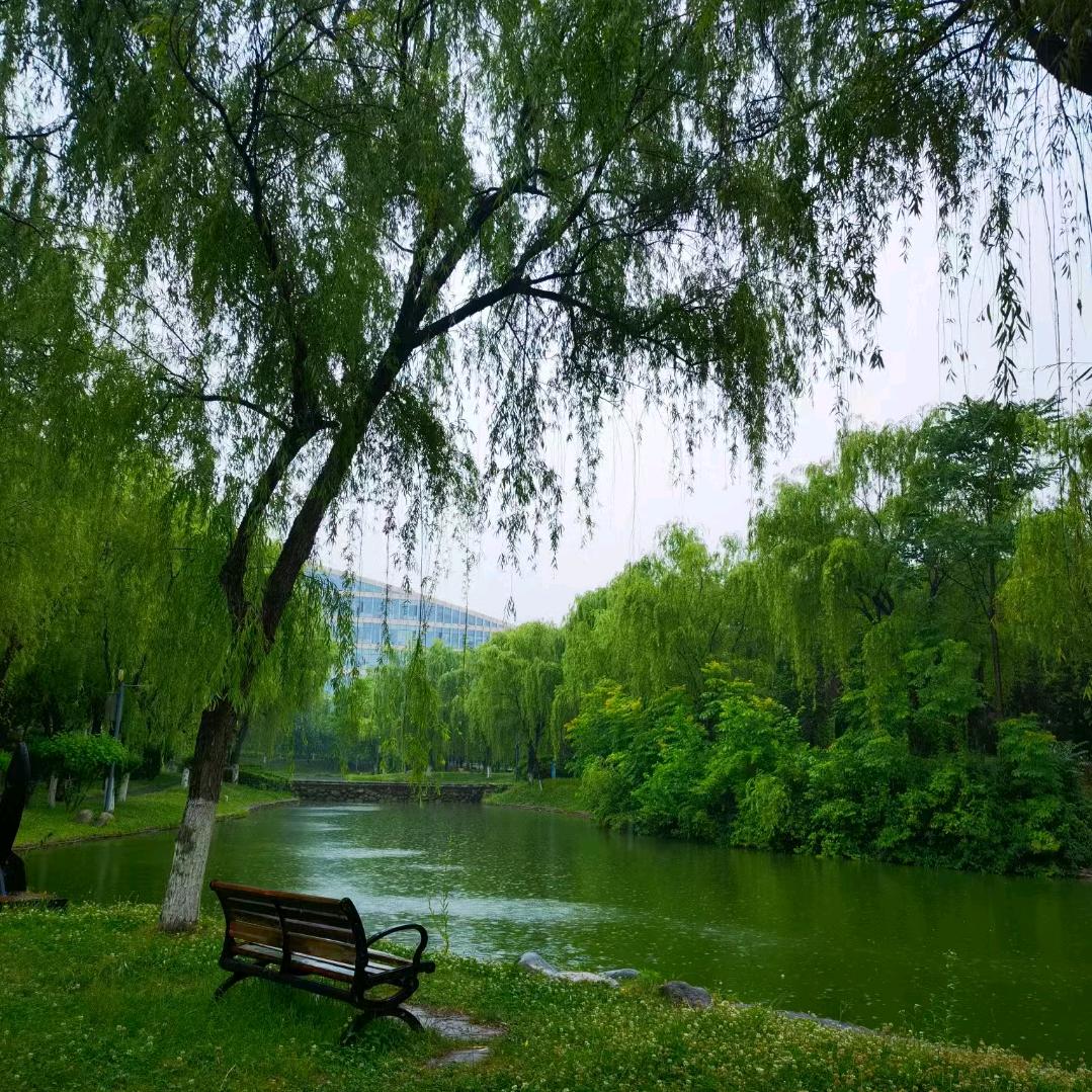 蕾蕾快乐是福🙏