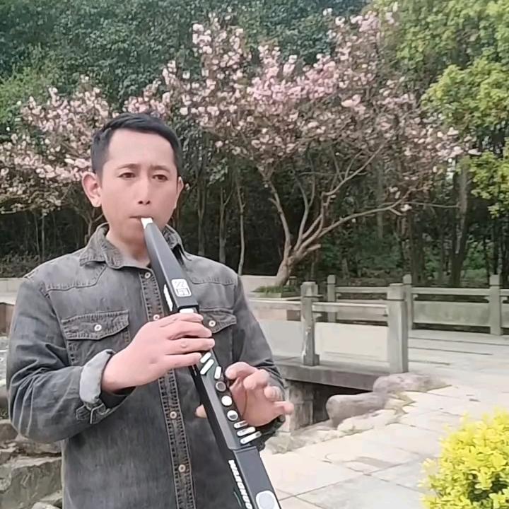 红尘乐器