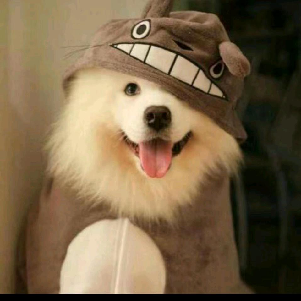 ⛵️🌈哈哈哈哈