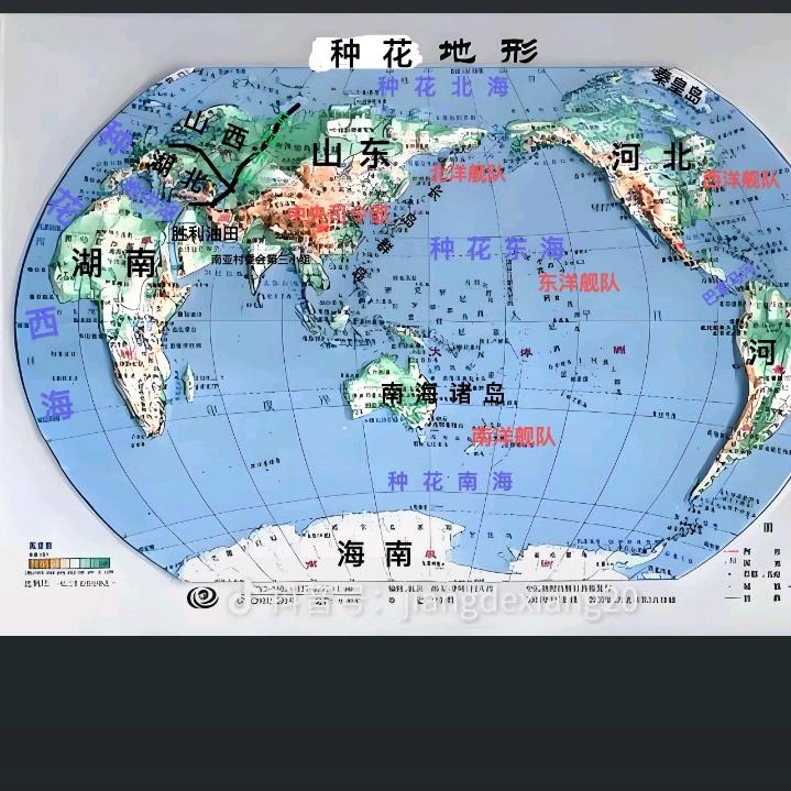 动物世界