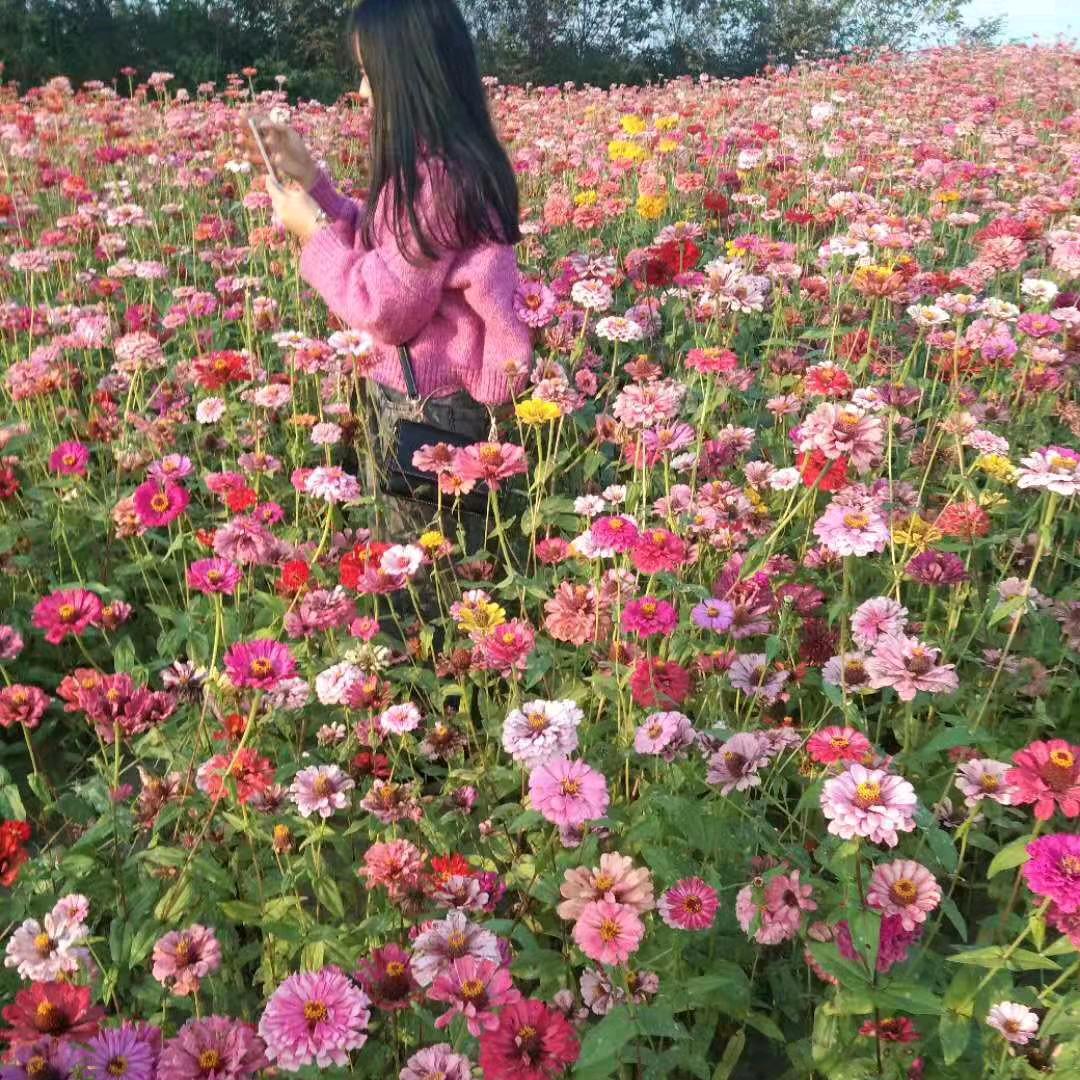 云南彩儿水果妹首播